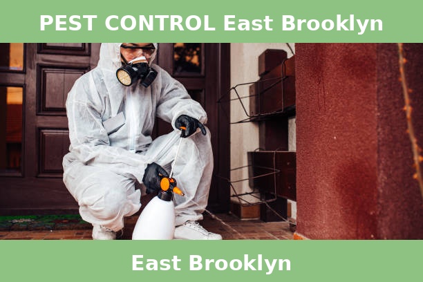PEST CONTROL East Brooklyn